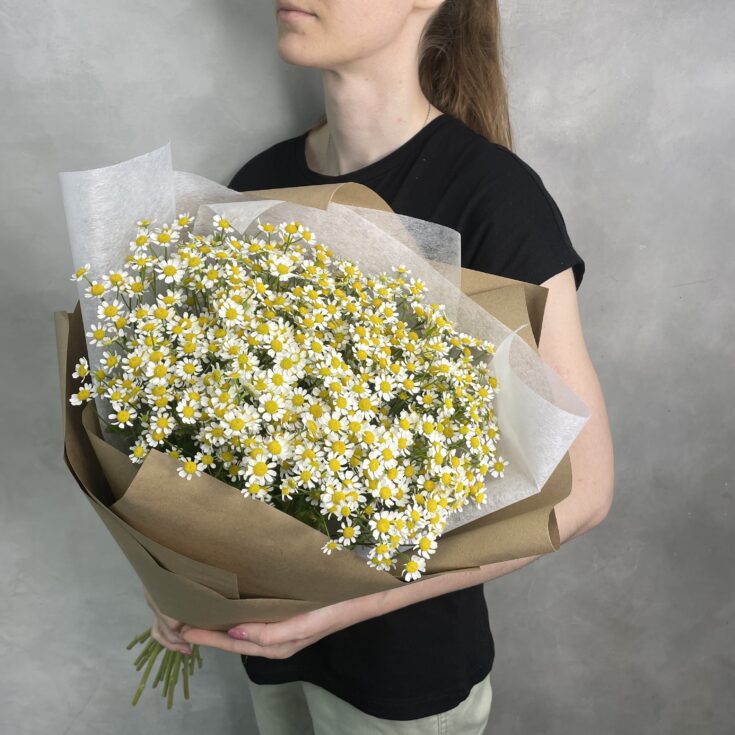 Букет Ромашки 21.0