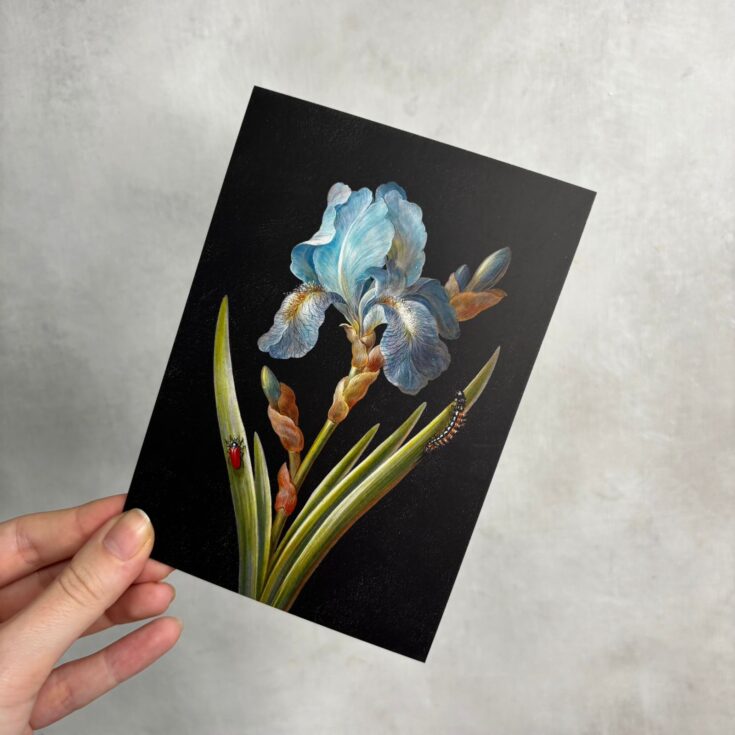 Открытка 10*15 см Ирис