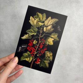 Открытка 10*15 см Калина