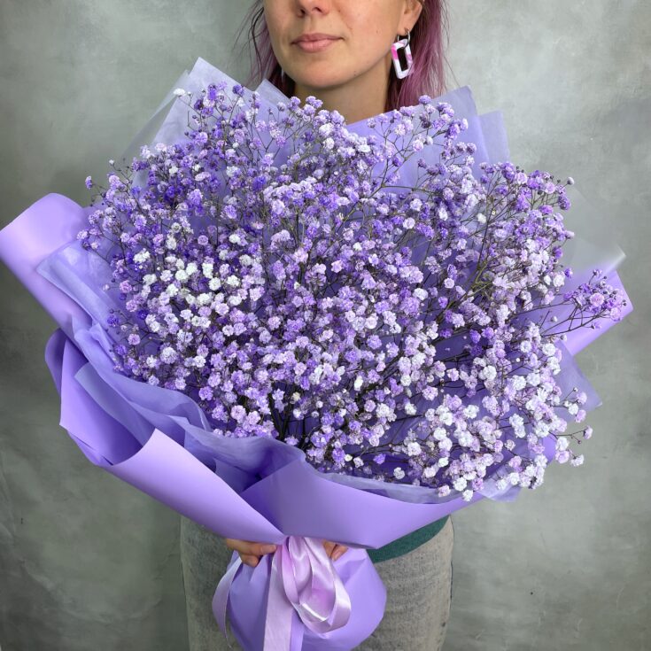 Букет Гипсофила Violet M