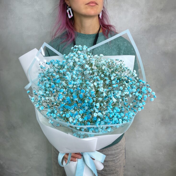 Букет Гипсофила Aqua S