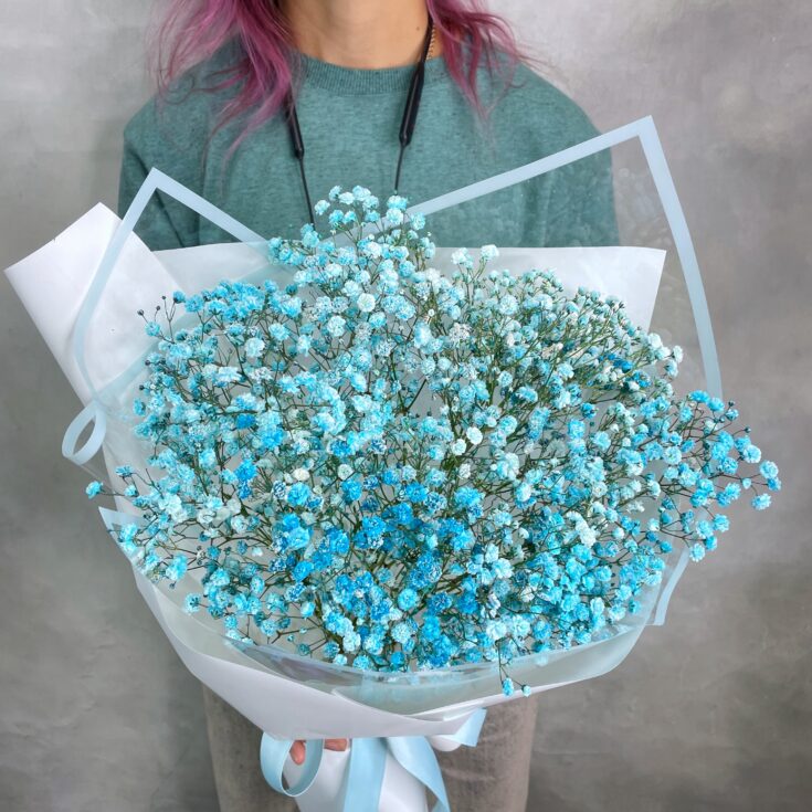 Букет Гипсофила Aqua S