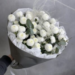 Букет с сантини Ньютон и стифой