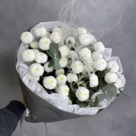 Букет с сантини Ньютон и стифой